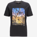 Black Cotton Jersey photo review